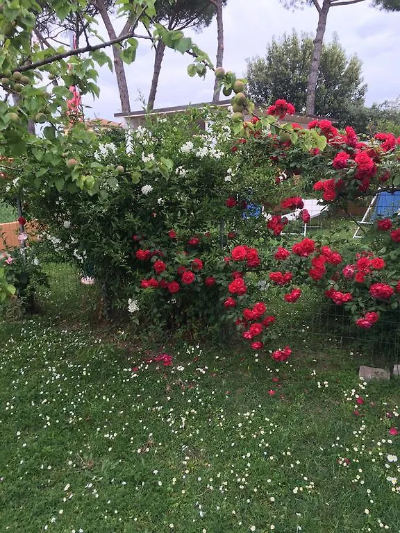 Bed & Breakfast B&B Soleluna Pisa