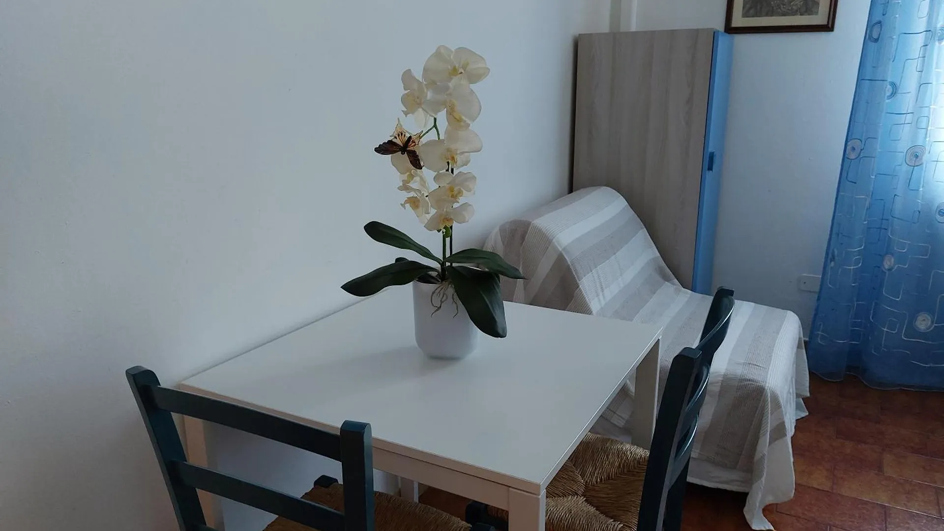 B&B Soleluna Pisa Bed & Breakfast