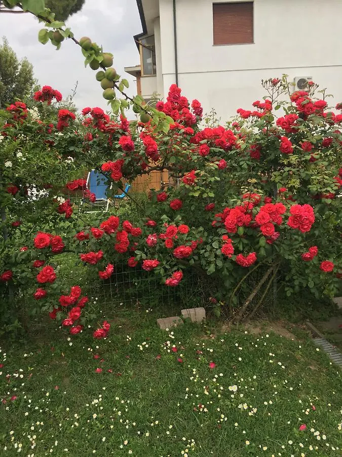 B&B Soleluna Pisa 2*,